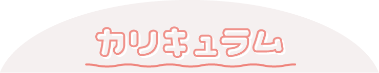 カリキュラム
